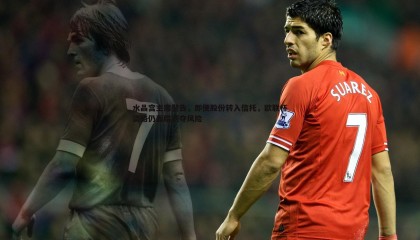 欧博官网-水晶宫主席警告，即便股份转入信托，欧联杯资格仍面临剥夺风险