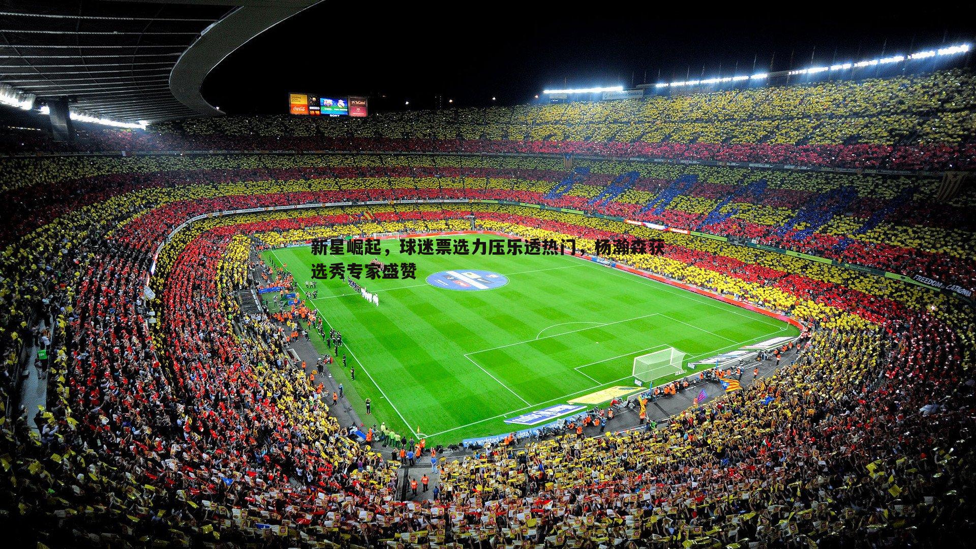 新星崛起,球迷票选力压乐透热门,杨瀚森获选秀专家盛赞