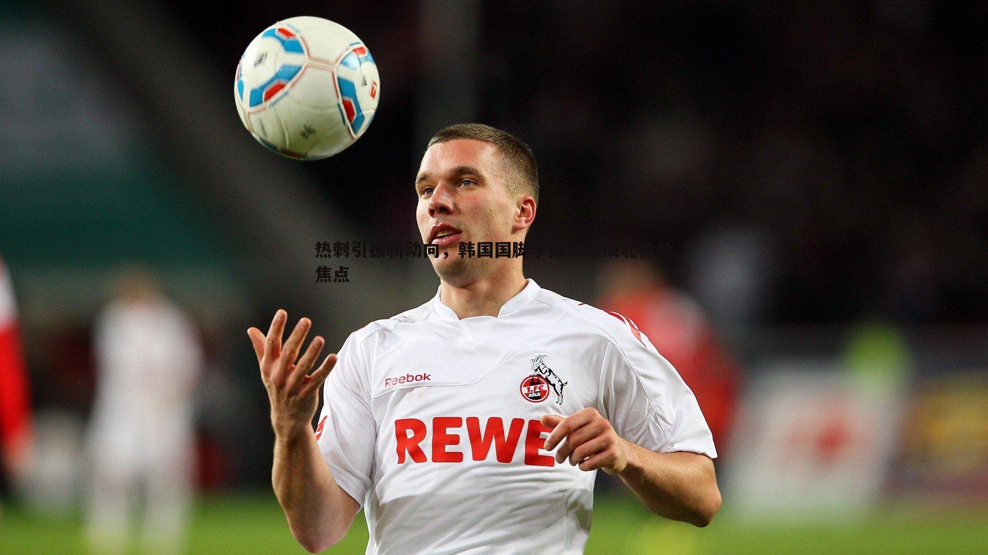 热刺引援新动向，韩国国脚李刚仁或成北伦敦焦点